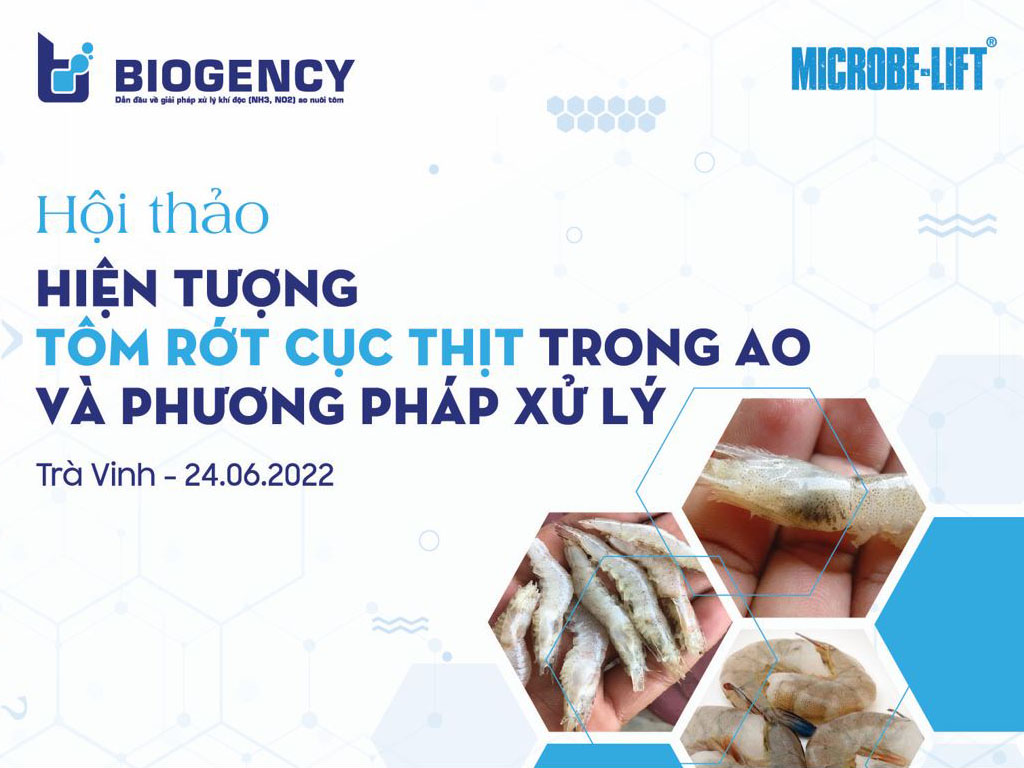 Hội thảo Tôm rớt cục thịt