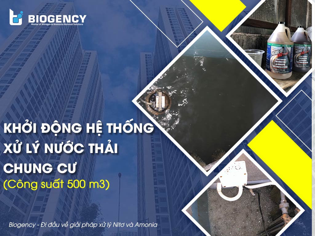 Khởi động hệ thống Xử lý nước thải chung cư (Công suất 500 m3/ ngày.đêm)