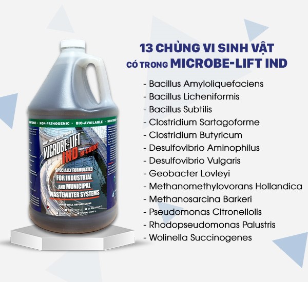 Men vi sinh Microbe-Lift IND là giải pháp giúp tăng cường tốc độ và hiệu quả xử lý Nitơ hữu cơ nhờ chứa 13 chủng vi sinh vật hoạt tính mạnh. 