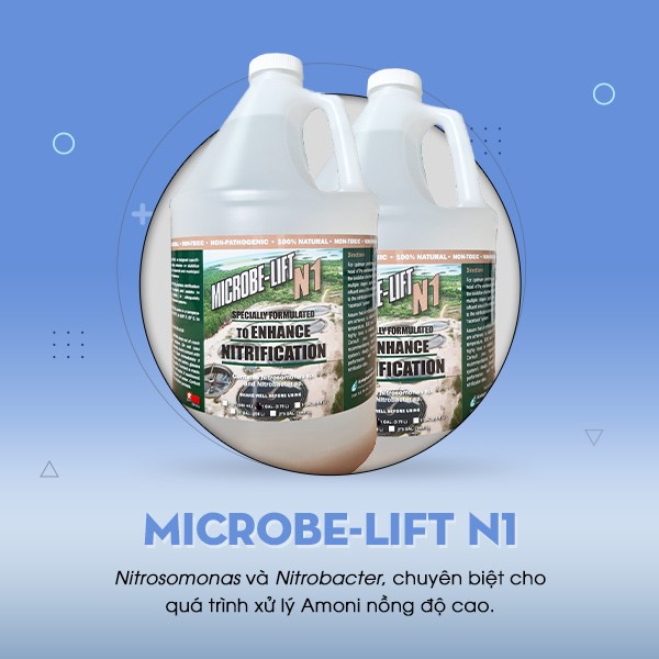 Men vi sinh Microbe-Lift N1 chứa hai chủng vi sinh vật chuyên biệt cho quá trình xử lý Nitơ, Amonia