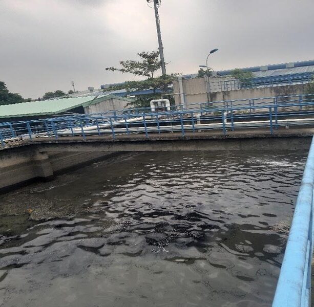 Pha lắng của bể SBR.
