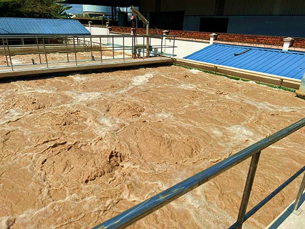 Quá trình bùn hoạt tính trong bể sinh học hiếu khí