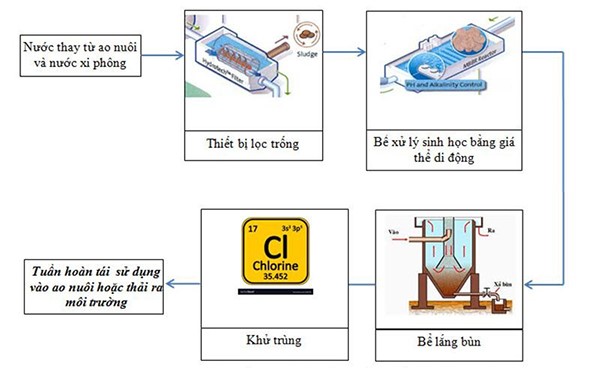 Quy trình xử lý nước thải nuôi tôm bằng bể xử lý sinh học.