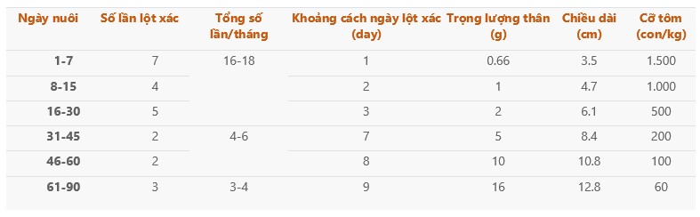 Thời gian tôm lột vỏ trong suốt quá trình nuôi. (Nguồn: Dr. Booyarat Pratumchart, phòng khoa học thủy sinh, khoa khoa học, đại học Burapha và Dr. Chalor limsuwan, trung tâm nghiên cứu thương mại thủy sản, đại học Kasetsart, Thái Lan)