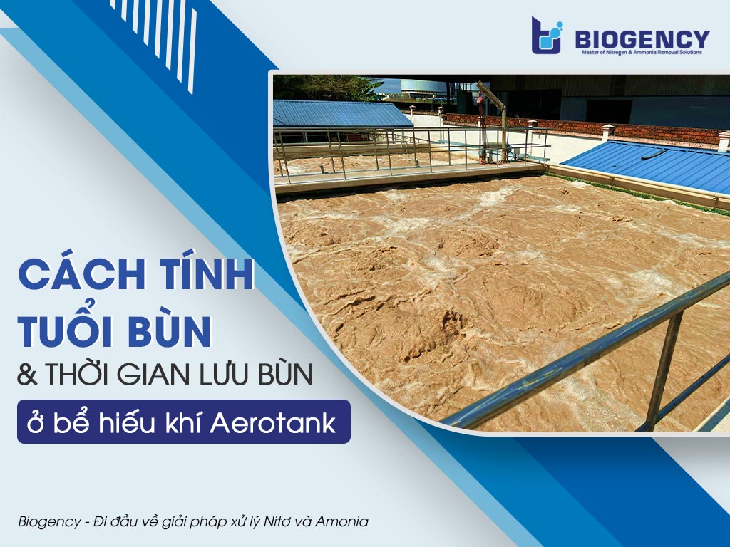 Cách tính tuổi bùn và thời gian lưu bùn ở bể hiếu khí Aerotank