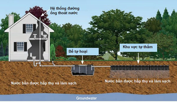 Vị trí bể tự hoại trong hộ gia đình