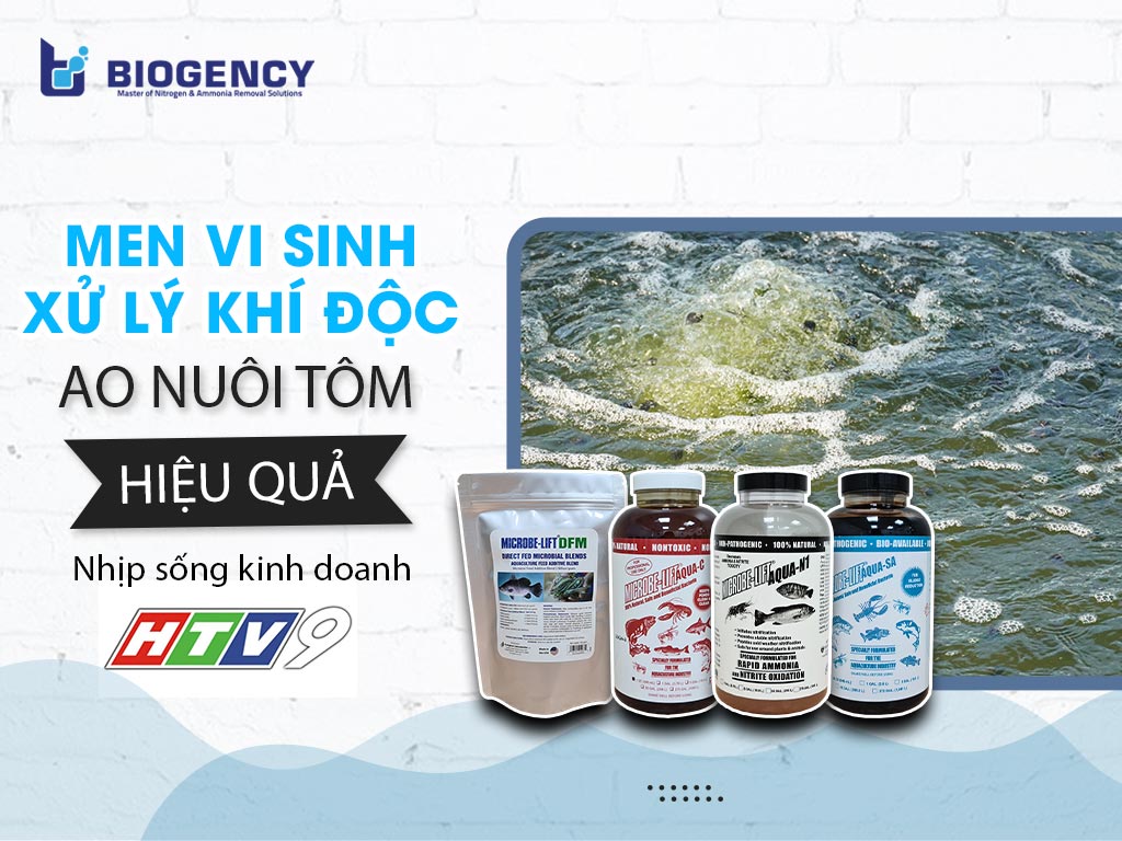 Xử lý khí độc