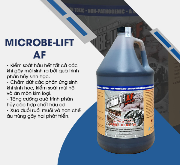 Khử mùi hôi chăn nuôi heo