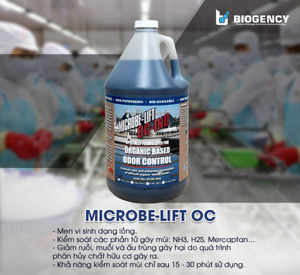 Men vi sinh Microbe-Lift OC được nghiên cứu và sản xuất bởi Viện Nghiên Cứu Sinh Thái Hoa Kỳ (Ecological Laboratories Inc.), có khả năng kiểm soát và xử lý hiệu quả mùi hôi do quá trình phân hủy chất hữu cơ gây ra.