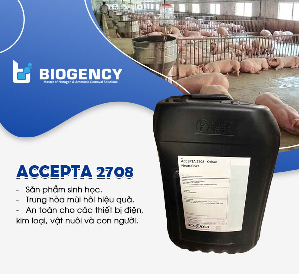 Dung dịch trung hòa mùi hôi Accepta 2708.