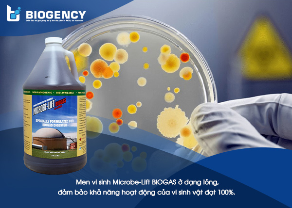 Men vi sinh Microbe-Lift BIOGAS ở dạng lỏng, đảm bảo khả năng hoạt động của vi sinh vật đạt 100%.