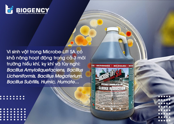 Vi sinh vật trong Microbe-Lift SA có khả năng hoạt động trong cả 3 môi trường hiếu khí, kỵ khí và tùy nghi.