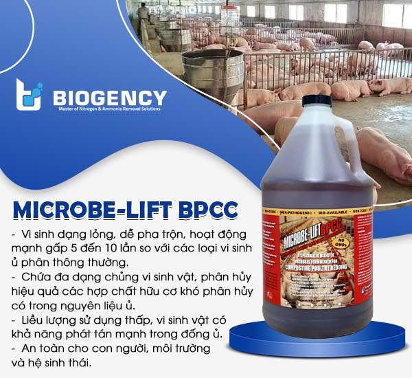 Men vi sinh Microbe-Lift BPCC giúp xử lý chất thải rắn ngành chăn nuôi heo thông qua phương pháp ủ phân Compost.