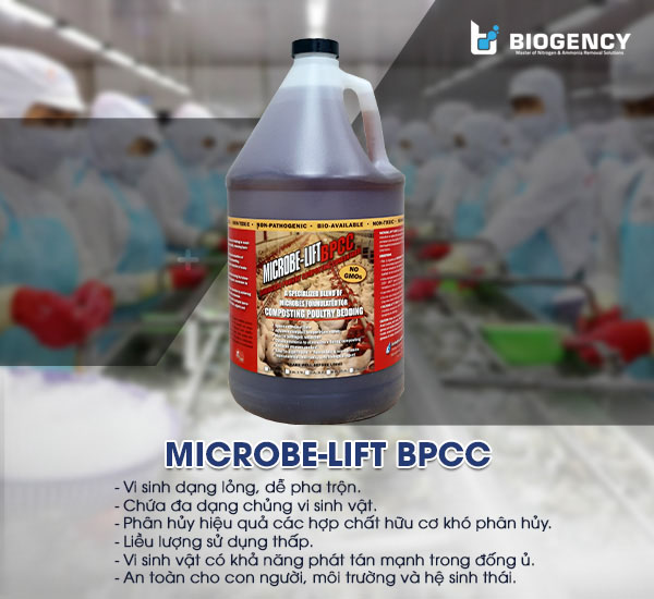 Men vi sinh Microbe-Lift BPCC giúp xử lý chất thải rắn ngành chế biến thủy sản thông qua phương pháp ủ phân Compost.