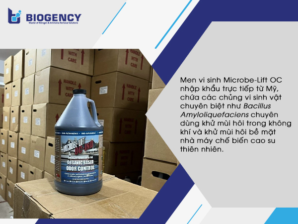 Men vi sinh Microbe-Lift OC nhập khẩu trực tiếp từ Mỹ, chứa các chủng vi sinh vật chuyên biệt như Bacillus Amyloliquefaciens chuyên dùng khử mùi hôi trong không khí và khử mùi hôi bề mặt nhà máy chế biến cao su thiên nhiên.