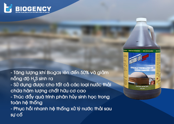 Men vi sinh Microbe-Lift BIOGAS giúp tăng khí Biogas hiệu quả và nâng cao hiệu suất xử lý sinh học của toàn hệ thống xử lý nước thải.