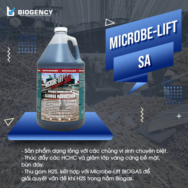 Men vi sinh Microbe-Lift SA được sử dụng để xử lý bùn đáy và lớp váng cứng bề mặt hầm Biogas.