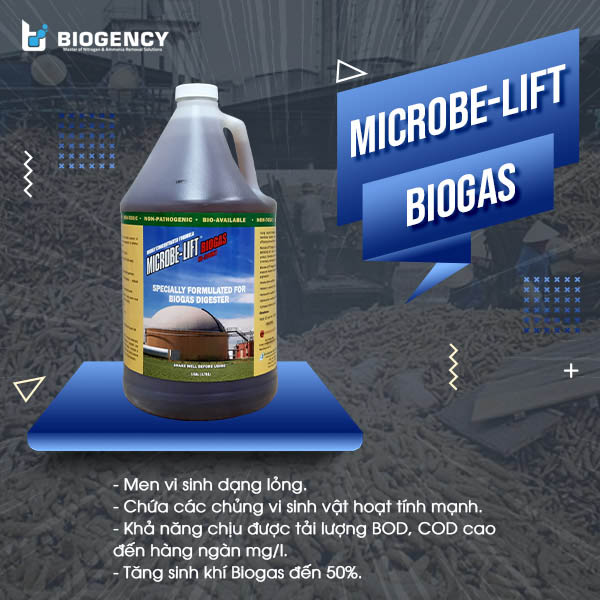 Men vi sinh Microbe-Lift BIOGAS có khả năng giúp hầm Biogas tăng khí đến 50%. 