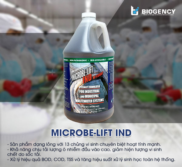 Men vi sinh Microbe-Lift IND xử lý hiệu quả các chỉ tiêu BOD, COD, TSS trong nước thải chế biến thủy sản chỉ sau 3 - 4 tuần.