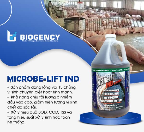 Men vi sinh Microbe-Lift IND xử lý hiệu quả các chỉ tiêu BOD, COD, TSS chỉ sau 3 - 4 tuần.