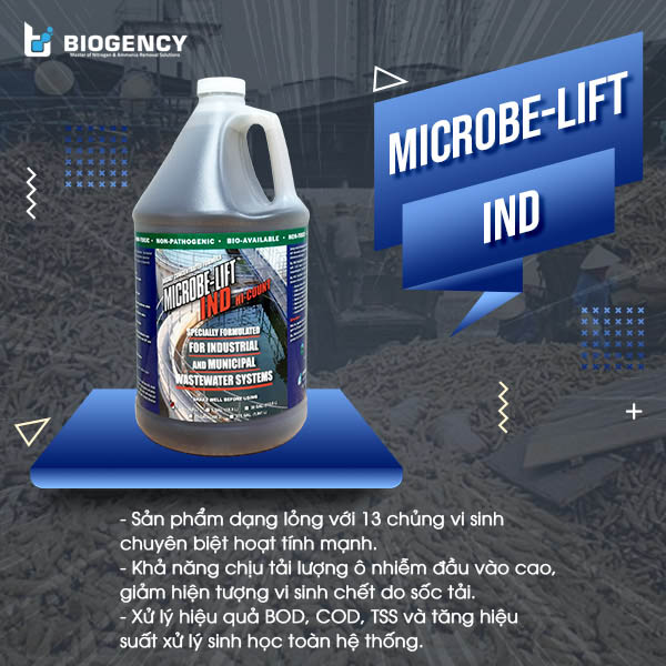 Men vi sinh Microbe-Lift IND xử lý hiệu quả các chỉ tiêu BOD, COD, TSS trong nước thải chế biến tinh bột sắn chỉ sau 3 - 4 tuần.