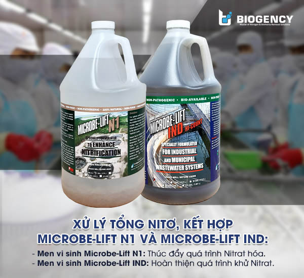 Kết hợp Men vi sinh Microbe-Lift N1 và Microbe-Lift IND giúp xử lý hiệu quả chỉ tiêu Nitơ tổng trong hệ thống nước thải chế biến thủy sản.
