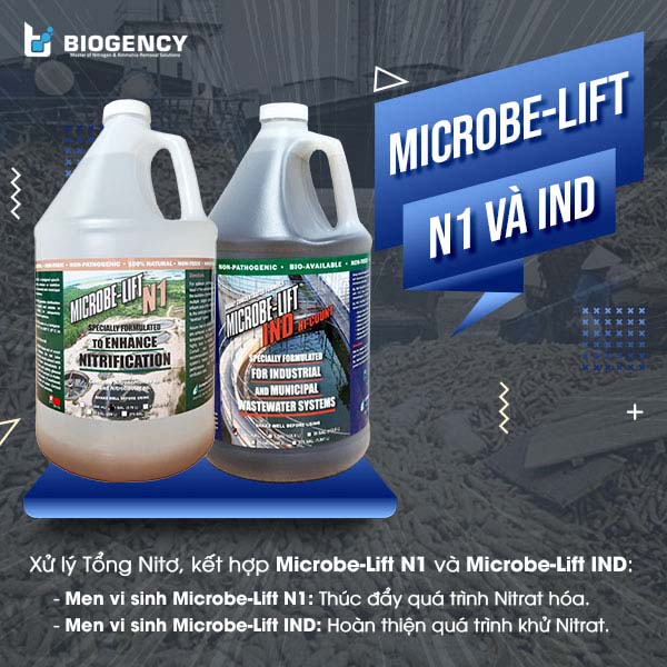 Men vi sinh Microbe-Lift N1 và Microbe-Lift IND kết hợp giúp xử lý hiệu quả chỉ tiêu tổng Nitơ trong hệ thống nước thải chế biến tinh bột sắn