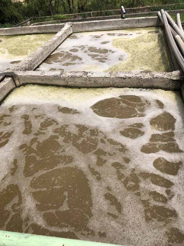 Bọt xanh trong nước thải nhà máy chế biến cao su thiên nhiên thường xuất hiện ở bể hiếu khí, nguyên nhân là do dư lượng N-NH3 quá nhiều, quá trình xử lý Amonia chưa tối ưu.