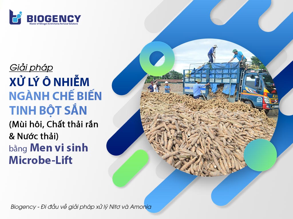Giải pháp Xử lý ô nhiễm Ngành chế biến tinh bột sắn (Mùi hôi, Chất thải rắn & Nước thải) bằng Men vi sinh Microbe-Lift
