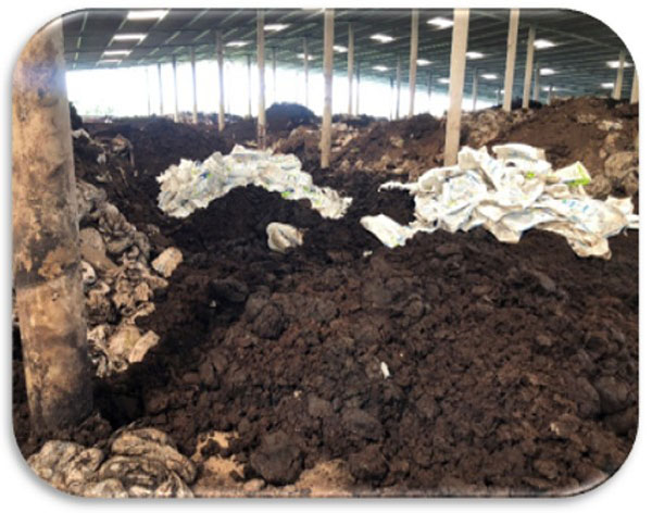 Hiện trạng mùi hôi nhà chứa phân