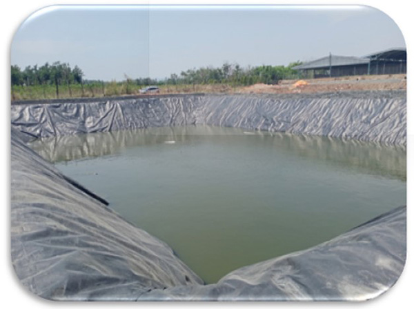 Hiện trạng mùi hôi nước thải