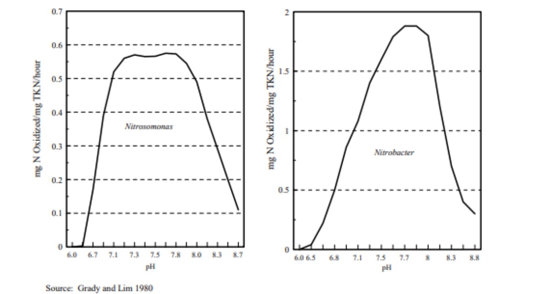 Khoảng pH tối ưu cho Nitrosomonas sp. và Nitrobacter sp. phát triển.