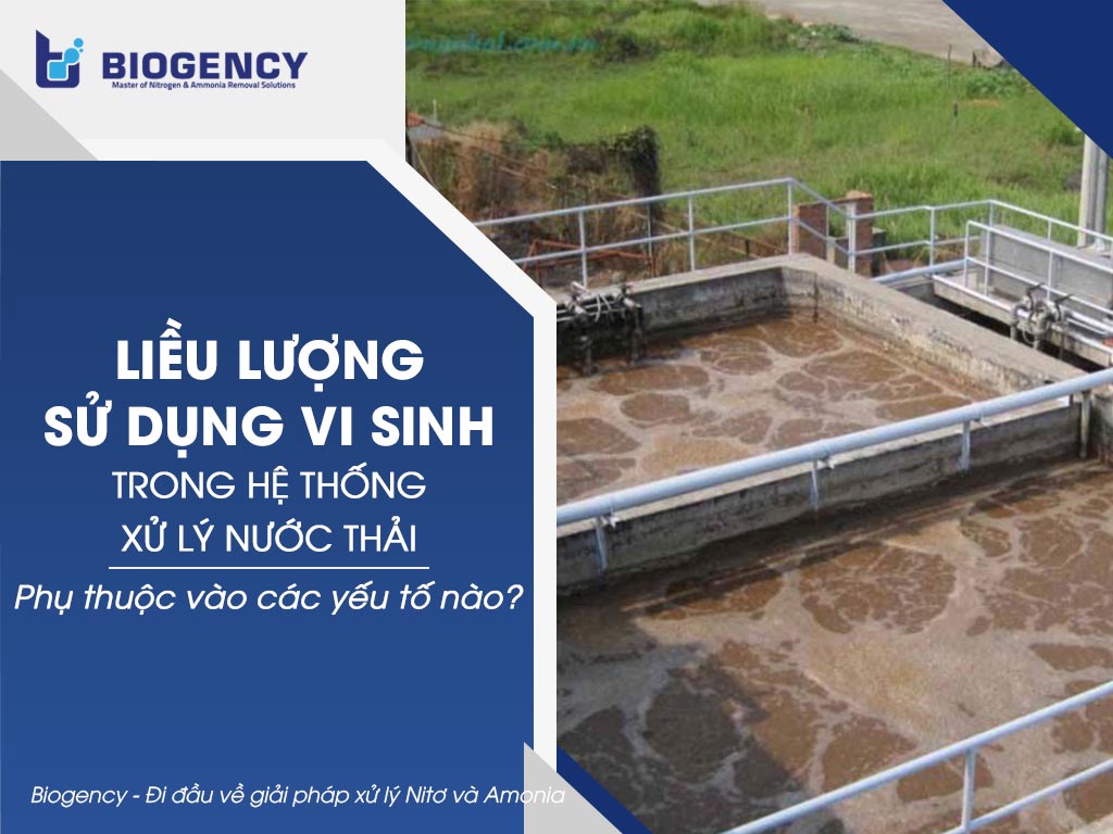 Liều lượng sử dụng vi sinh trong hệ thống xử lý nước thải phụ thuộc vào các yếu tố nào?