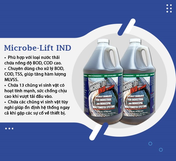 Men vi sinh Micobe-Lift IND có khả năng giúp tăng hiệu suất xử lý nước thải ngành giày da.