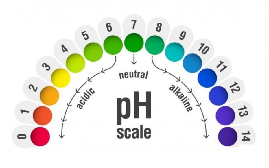 pH ảnh hưởng đến quá trình Nitrat hóa.