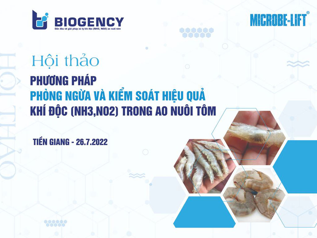 Hội thảo phương pháp phòng ngừa và kiểm soát hiệu quả khí độc ao nuôi tôm