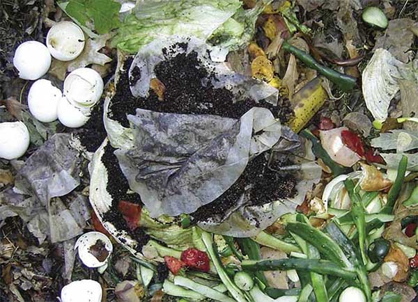 Rác thải hữu cơ ngày một tăng, là nguyên liệu hữu ích để ủ phân Compost.