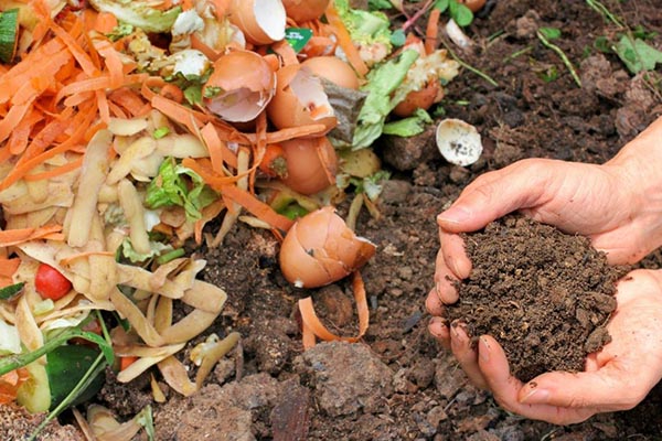 Ủ phân Compost là một trong những cách xử lý rác thải hữu cơ mang lại nhiều lợi ích kinh tế.