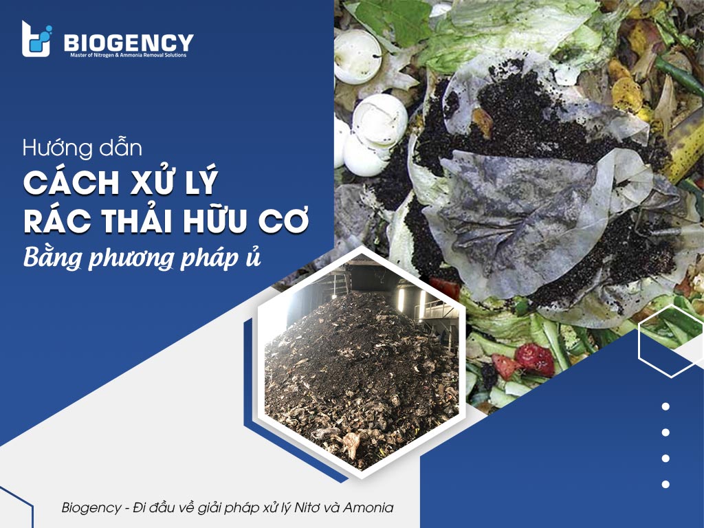 Hướng dẫn cách xử lý rác thải hữu cơ bằng phương pháp ủ