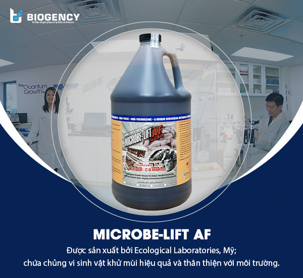 Microbe-Lift AF chứa chủng vi sinh vật khử mùi hiệu quả và thân thiện với môi trường.