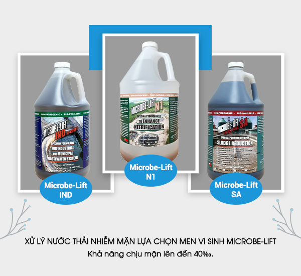 Men vi sinh Microbe-Lift có khả năng chịu được độ mặn lên tới 40‰.