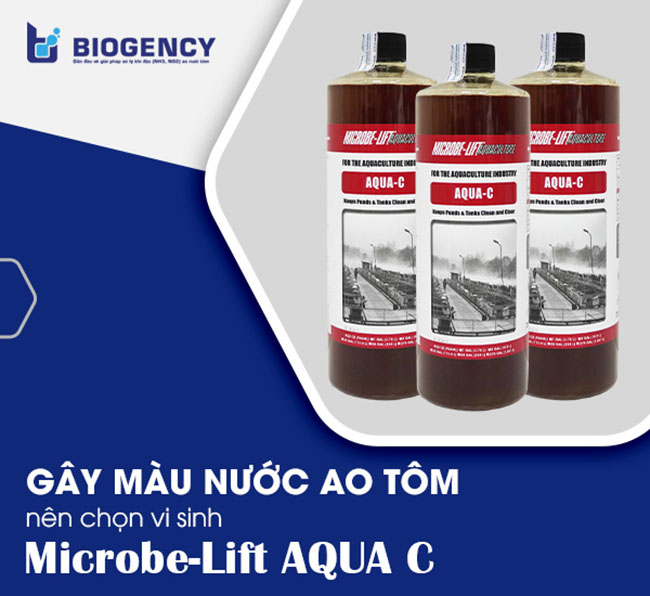 Men vi sinh gây màu nước ao tôm Microbe-Lift AQUA C (xuất xứ từ Mỹ, sản xuất bởi Viện Nghiên Cứu Sinh Thái Hoa Kỳ).