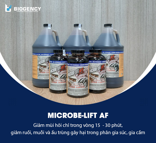 Vi sinh Microbe-Lift AF có khả năng giảm mùi hôi, sinh vật gây hại hiệu quả.