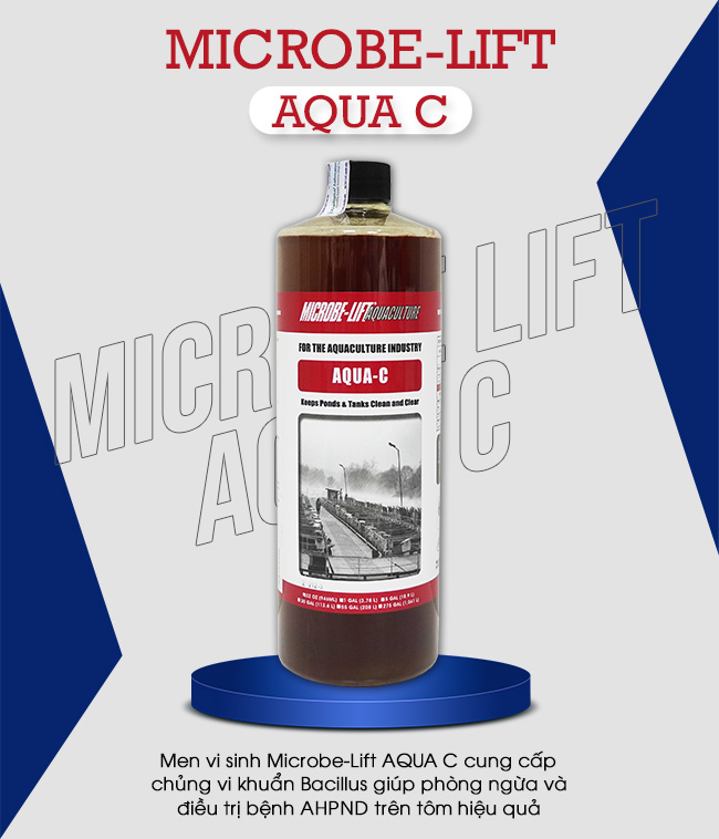 Men vi sinh Microbe-Lift AQUA C cung cấp chủng vi khuẩn Bacillus giúp phòng ngừa và điều trị bệnh AHPND trên tôm hiệu quả.