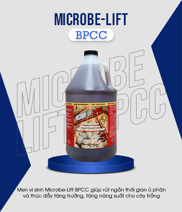 Men vi sinh Microbe-Lift BPCC giúp rút ngắn thời gian ủ phân và thúc đẩy tăng trưởng, tăng năng suất cho cây trồng.