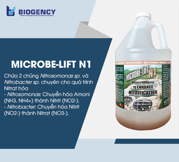 Men vi sinh Microbe-Lift N1 có khả năng xử lý Amoni Nitơ với hiệu suất xử lý lên đến 99%.
