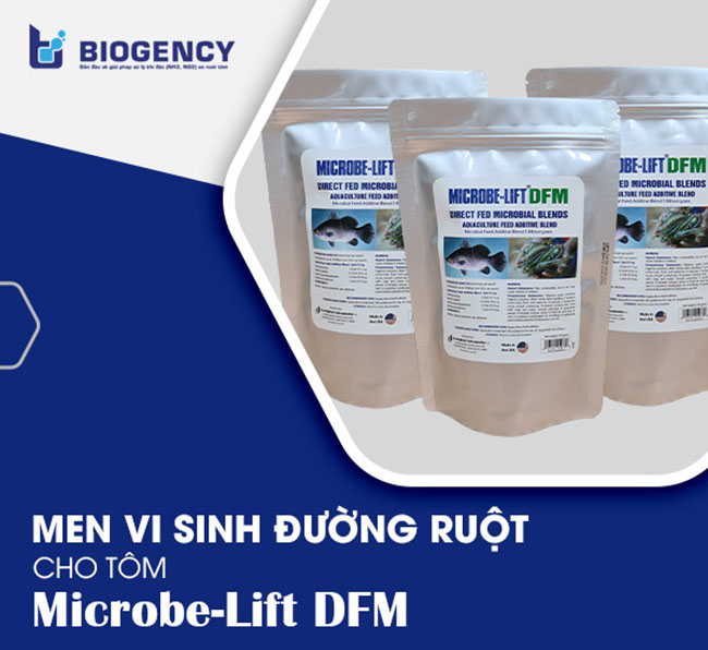 Men vi sinh Microbe-Lift DFM giúp đường ruột tôm khỏe hơn, tiêu hóa thức ăn tốt hơn.
