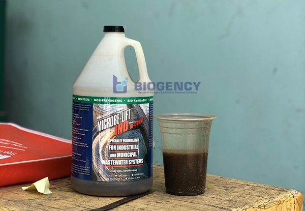 Màu bùn vi sinh khỏe.