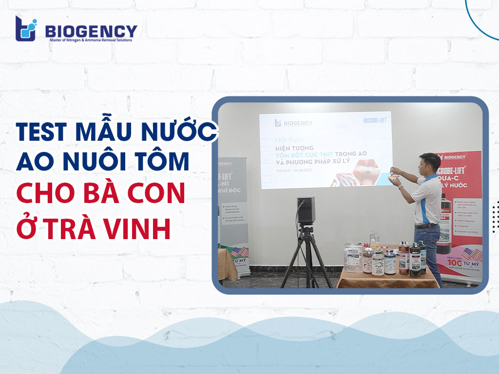 Test mẫu nước ao nuôi tôm cho bà con ở Trà Vinh