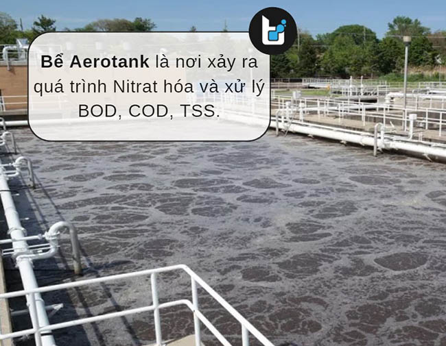 Bể hiếu khí Aerotank đóng vai trò quan trọng để thúc đẩy quá trình Nitrat hóa và xử lý BOD, COD, TSS trong nước thải tinh bột mì.